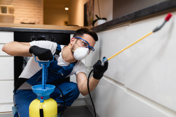 Best Pest Prevention Services  in Dillsboro, IN