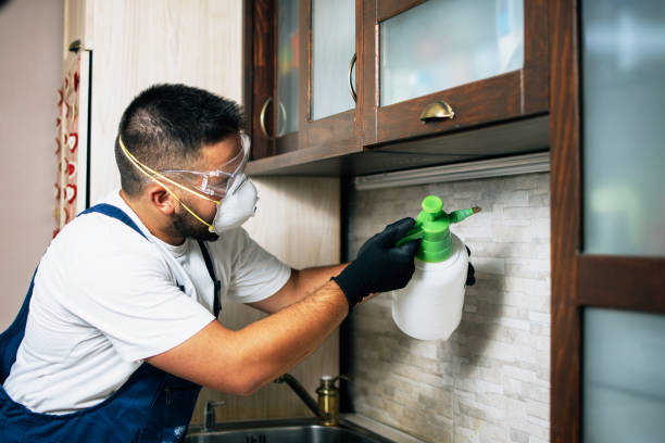Trusted Dillsboro, IN Pest Control Experts