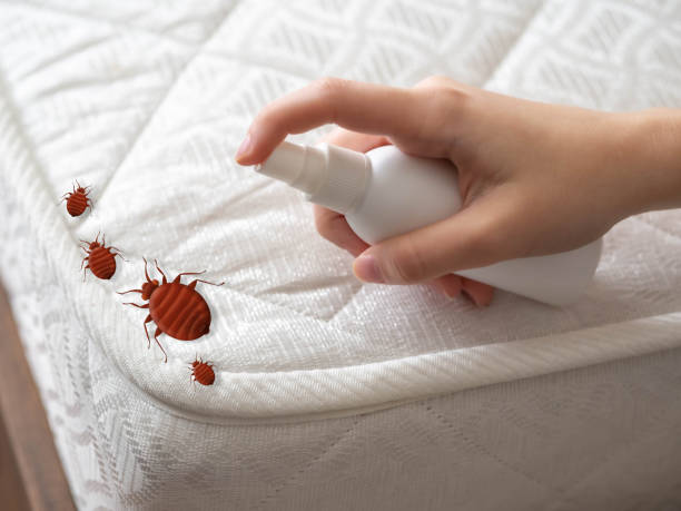 Best Commercial Pest Control Services  in Dillsboro, IN